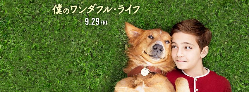 僕のワンダフル・ライフ1.jpg