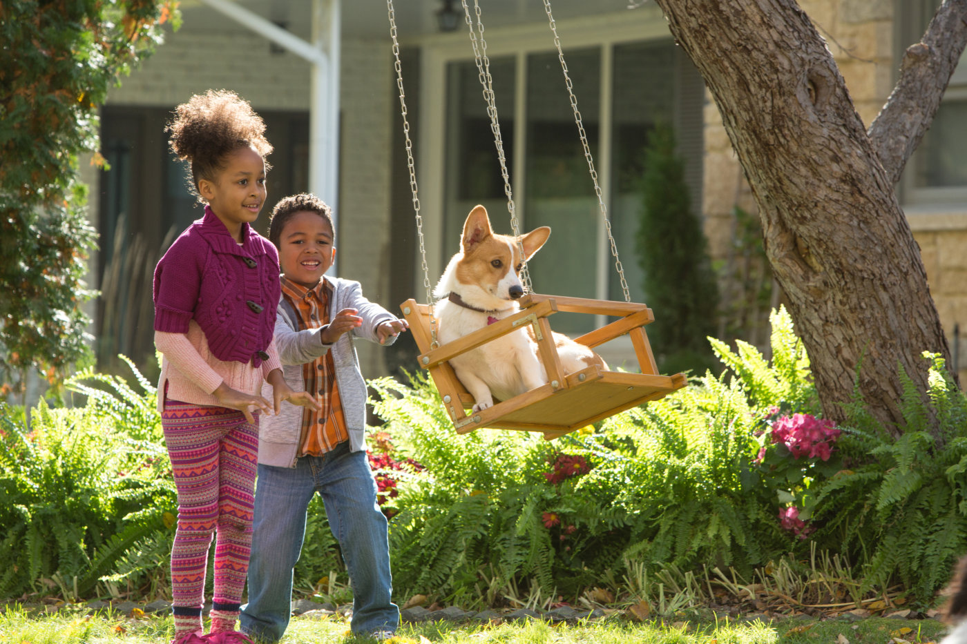 A Dog's Purpose 3.jpg