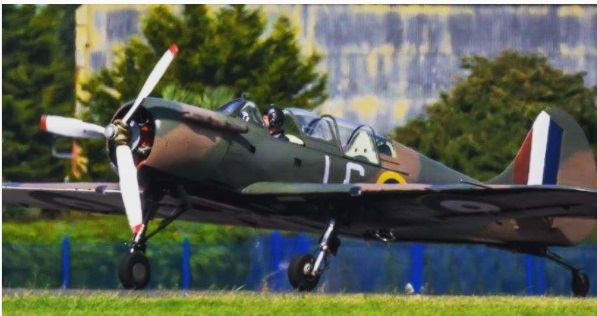 yak52.jpg