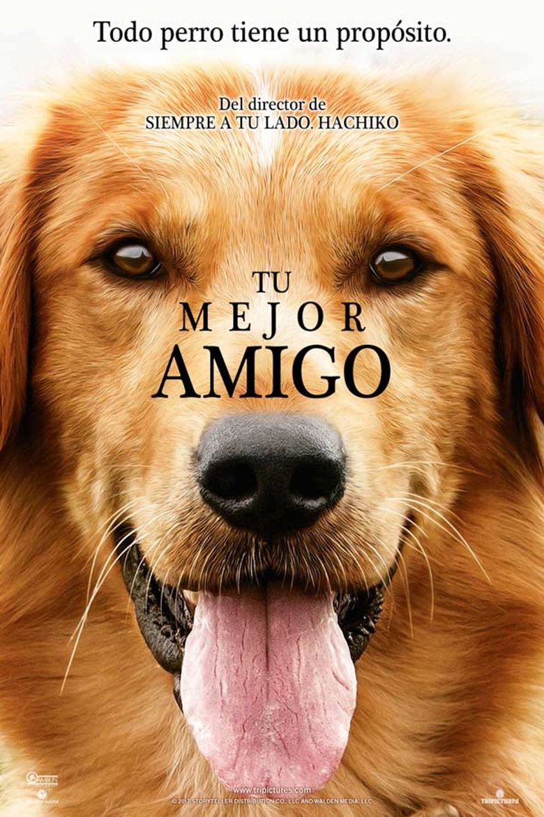 Tu mejor amigo.jpg