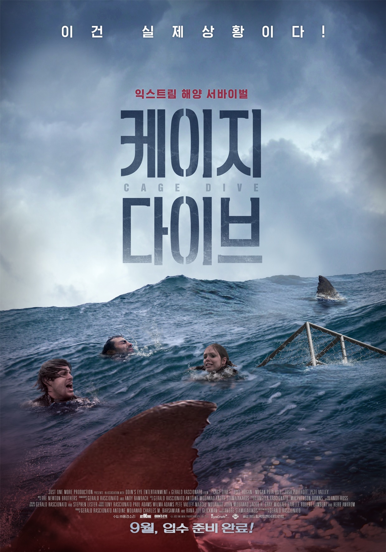 케이지 다이브.jpg