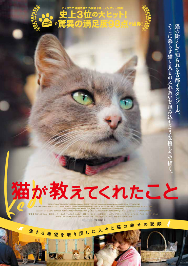 猫が教えてくれたこと.jpg
