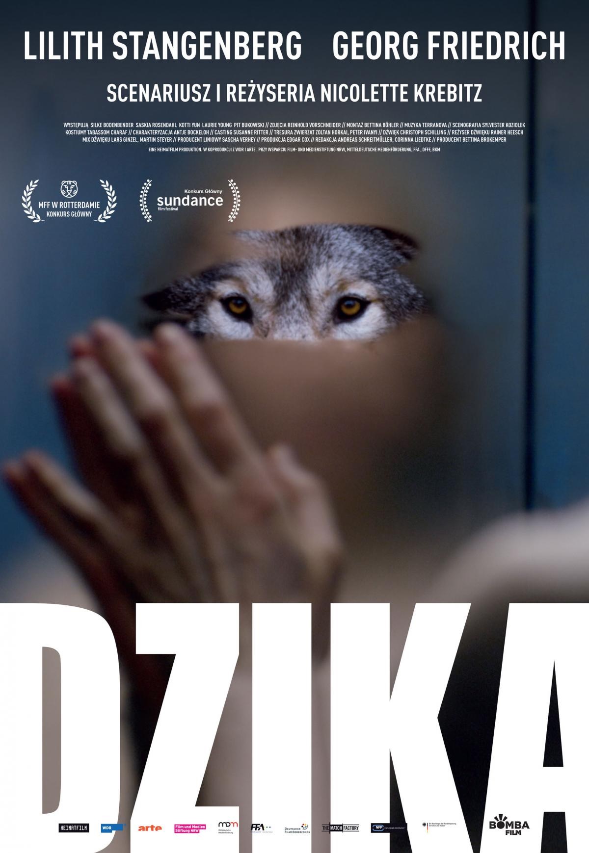 Dzika.jpg