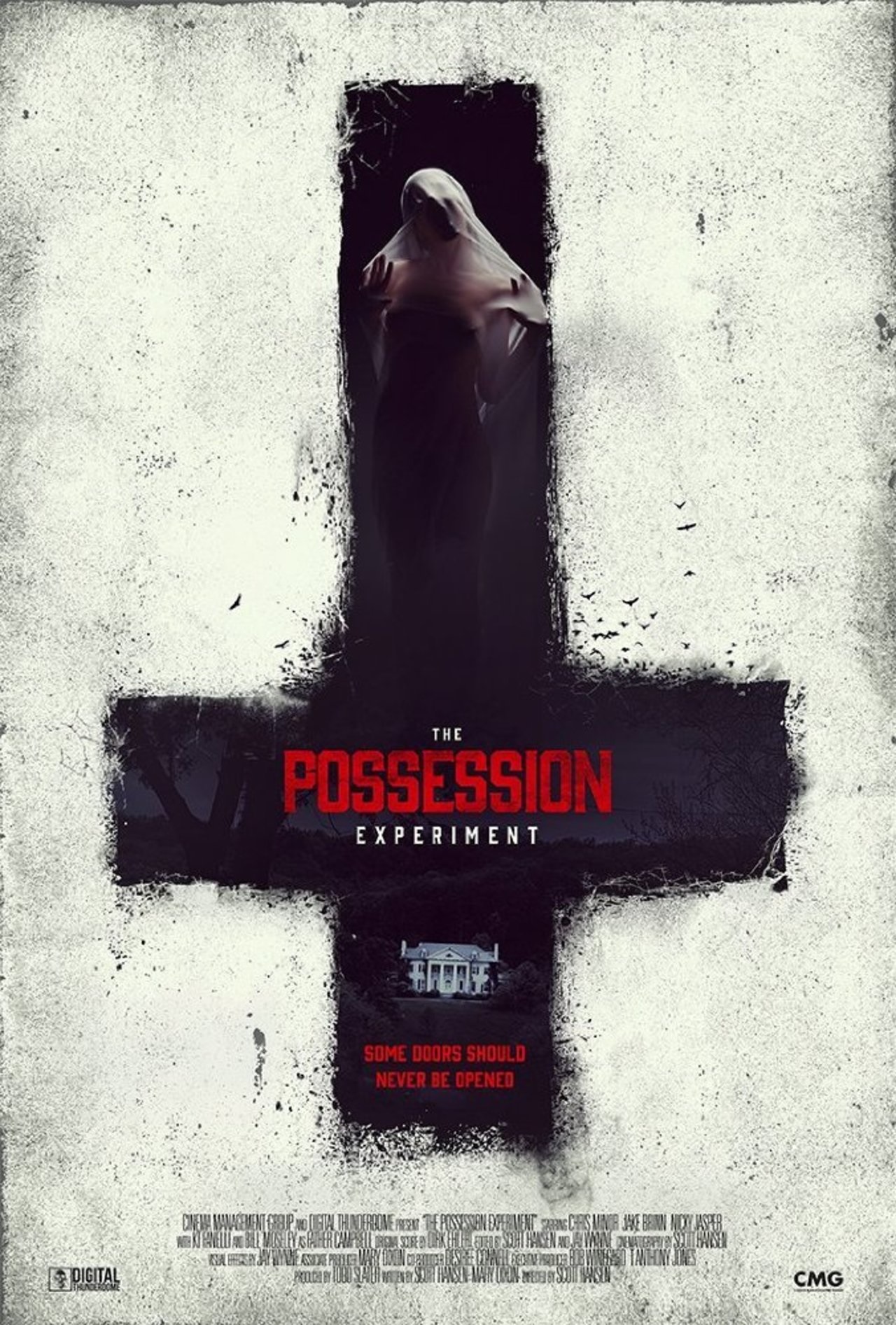 The Possession Experiment3.jpg