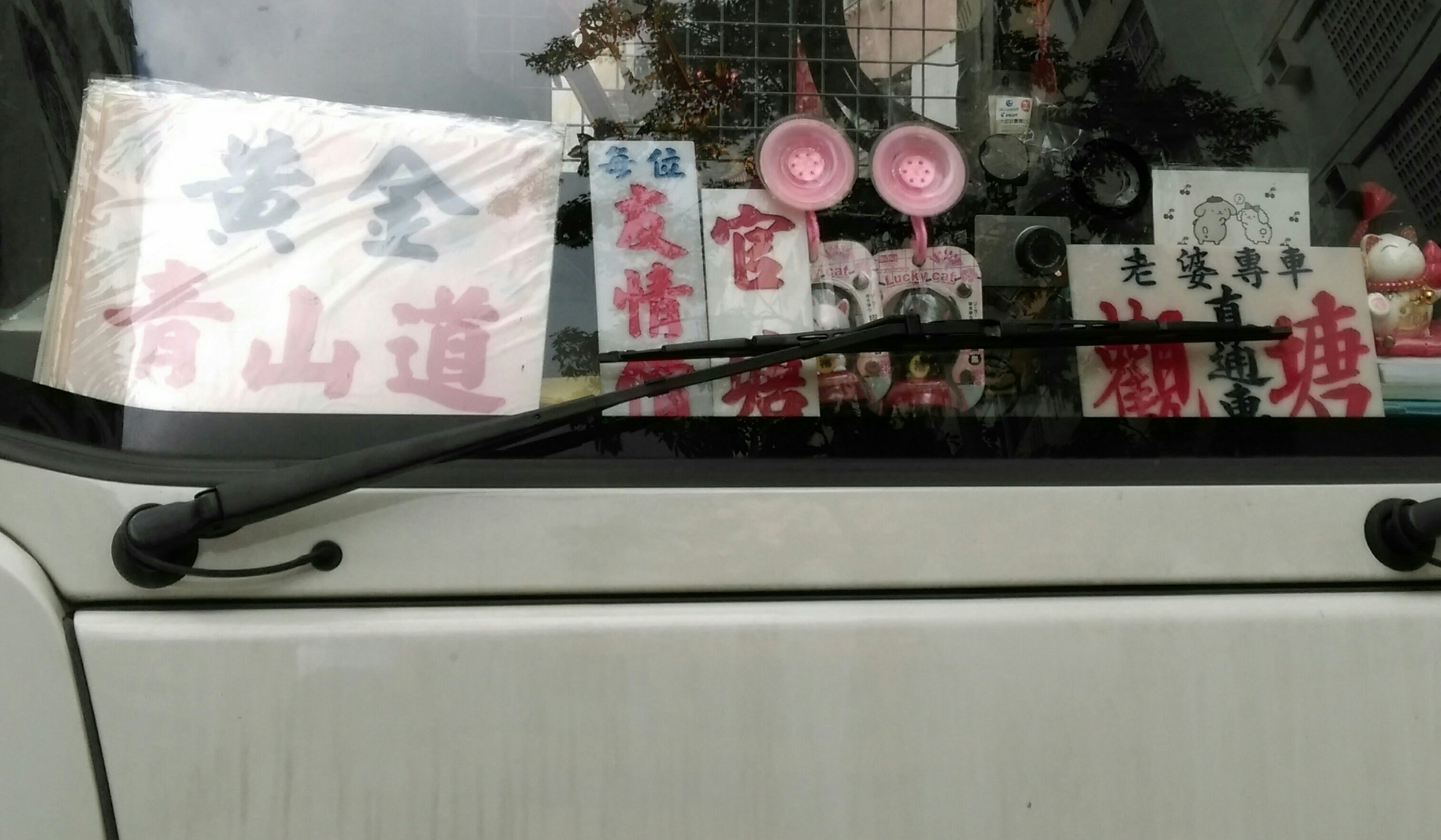IMAG0707_1_1.jpg
