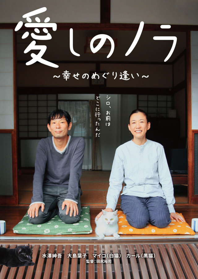 愛しのノラ 幸せのめぐり逢い.jpg