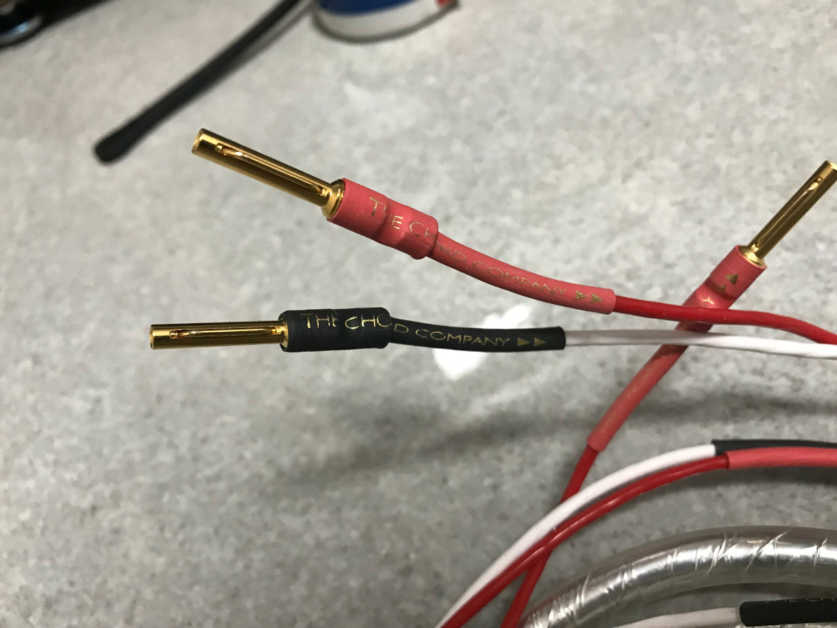 024224a55pqkp8nm5x0pkh.jpg