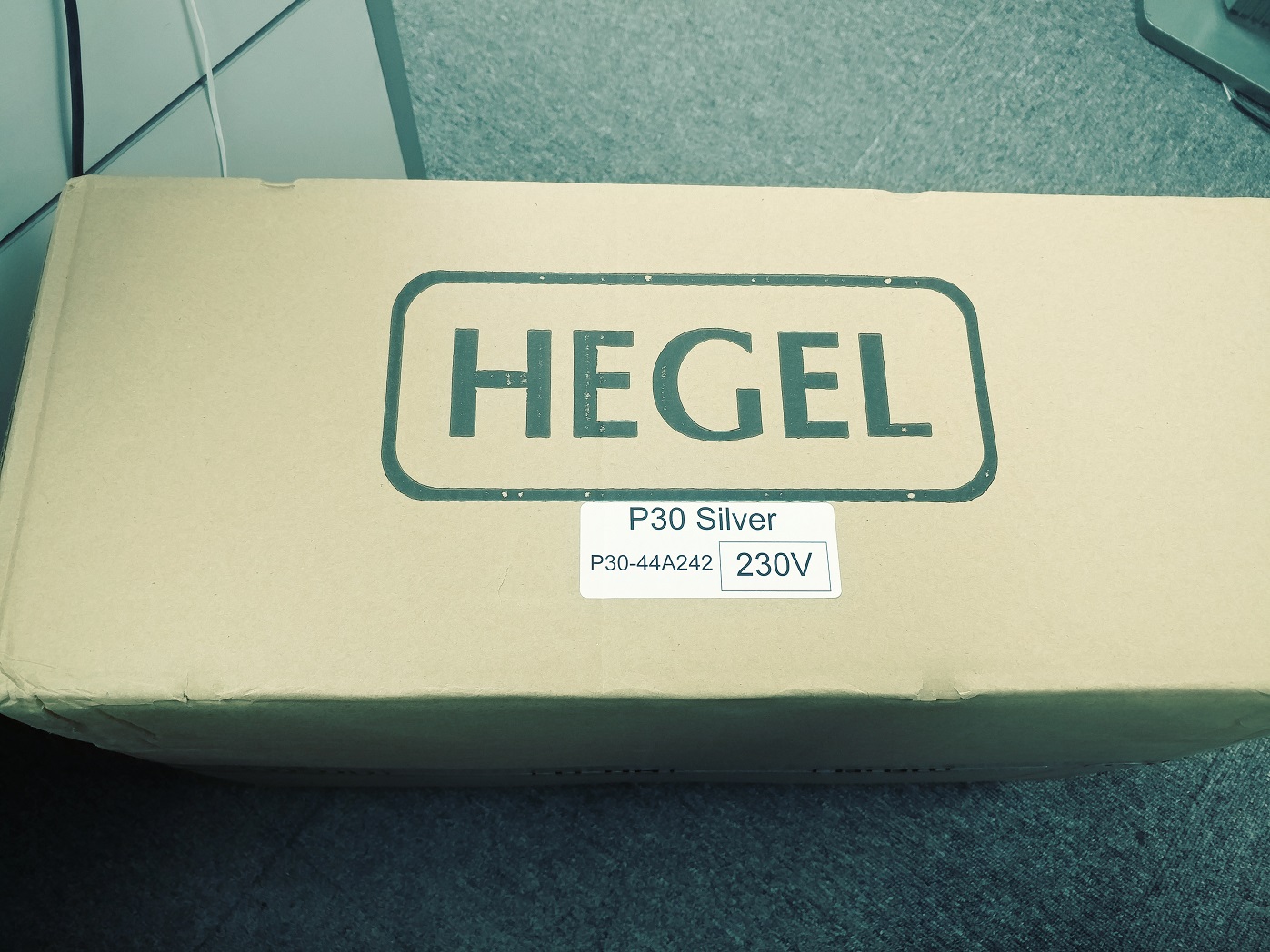 hegel p30.jpg