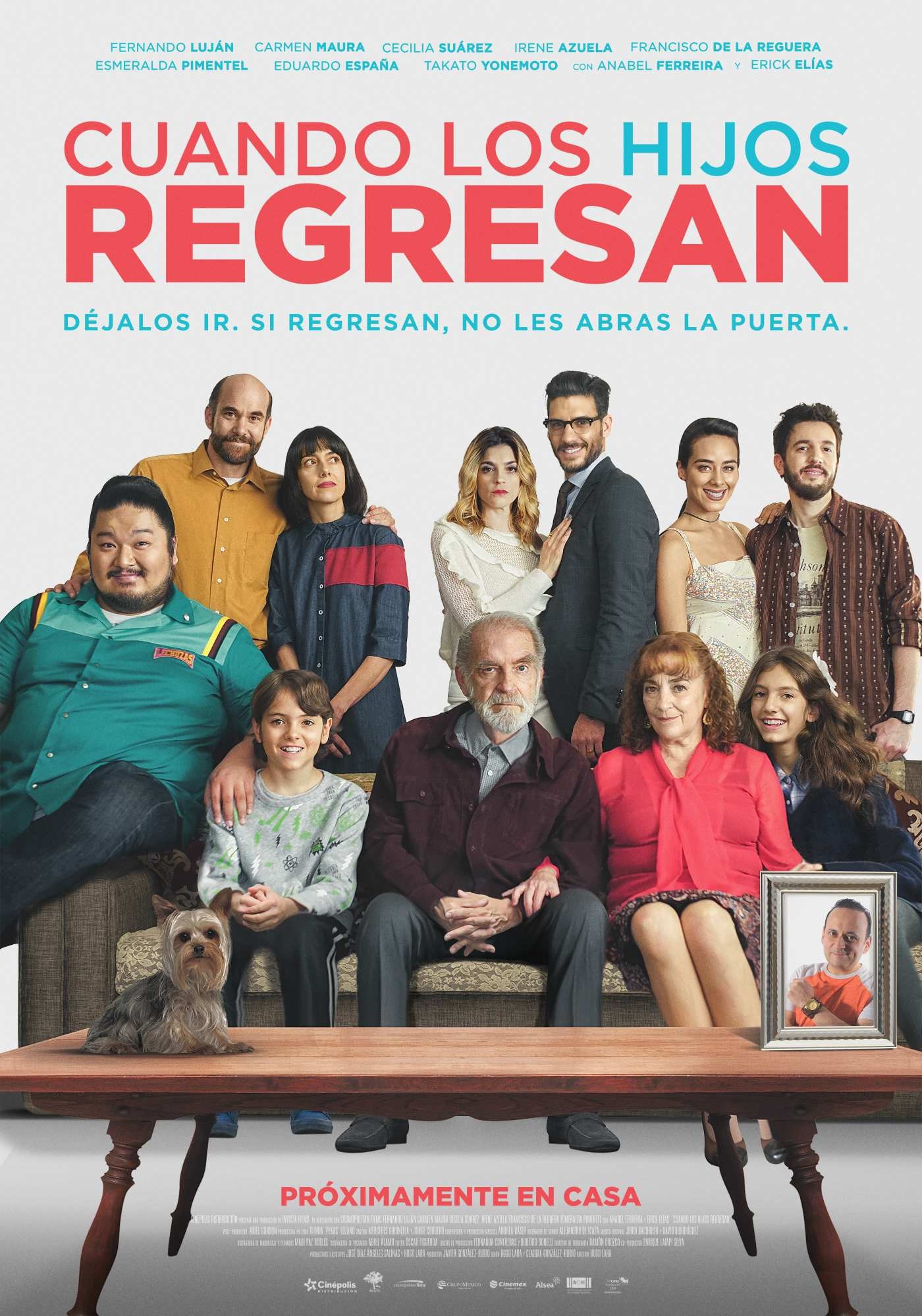Cuando los hijos regresan.jpg