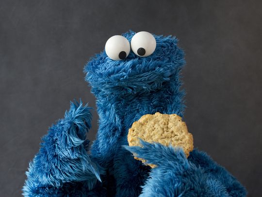 Cookie Monster USAT_1478046170218_6692962_ver1.0.JPG