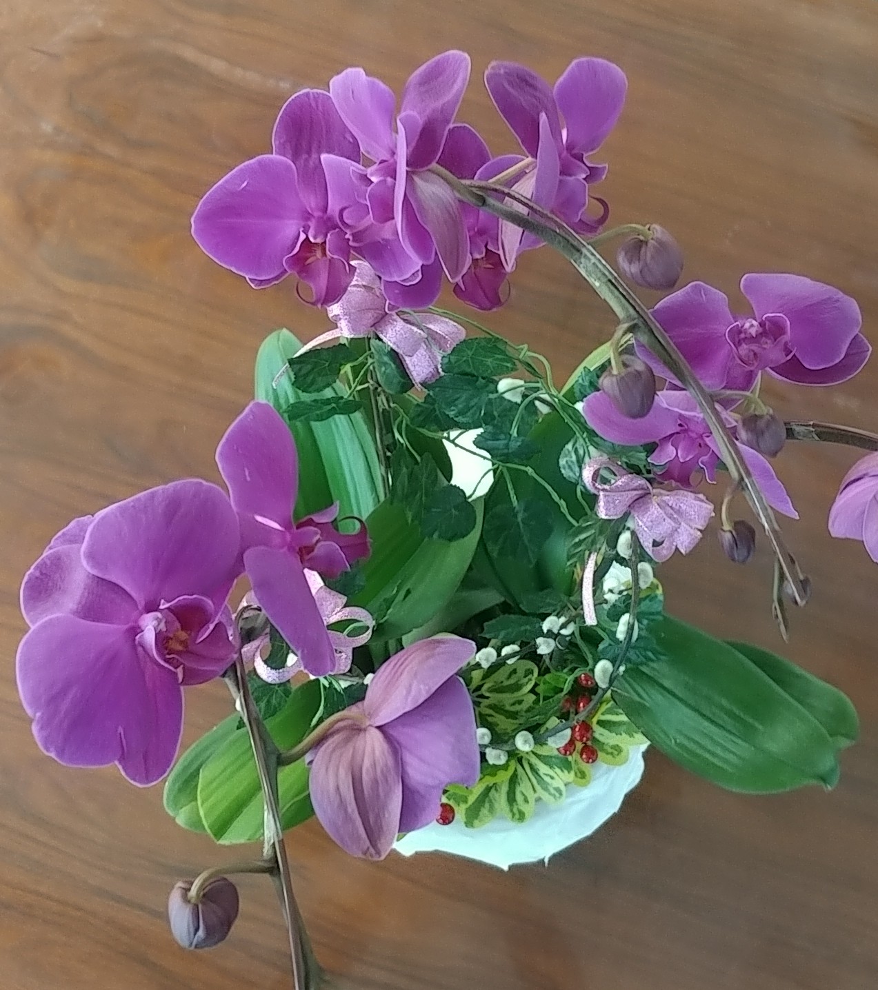 20180212_114332-1.jpg