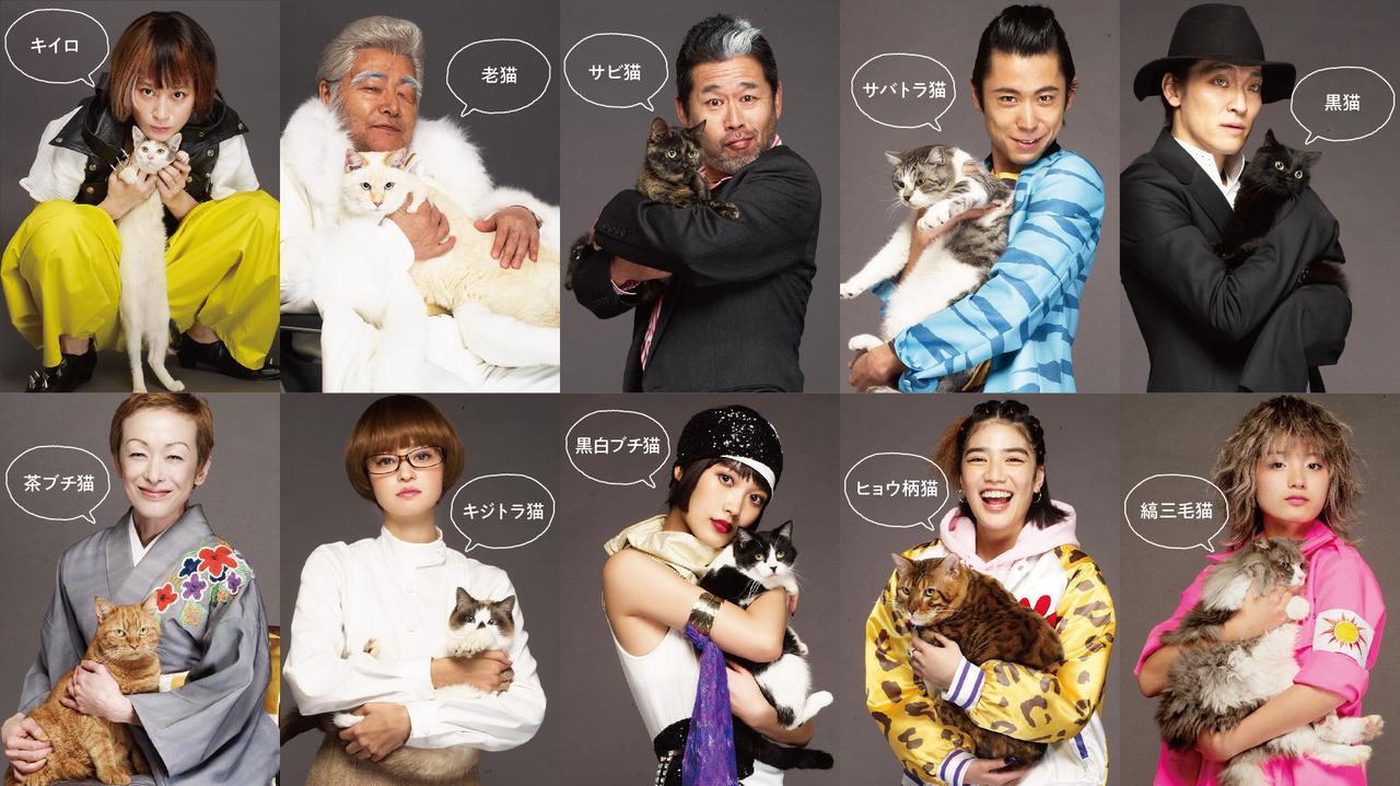 猫は抱くもの3.jpg