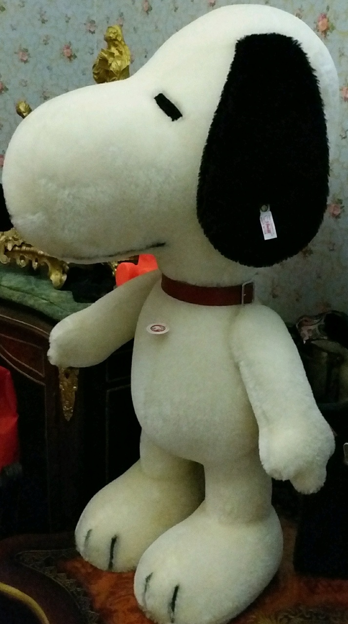 rps20180311_122058.jpg