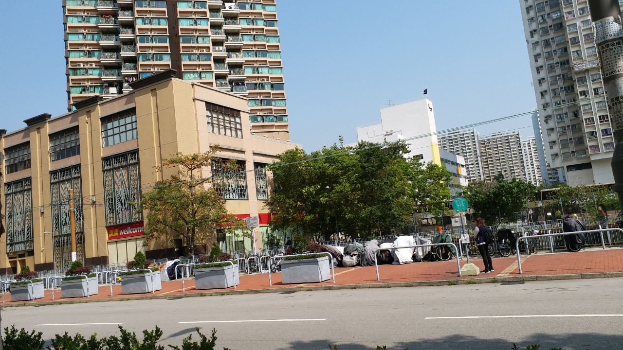 rps20180323_113725.jpg