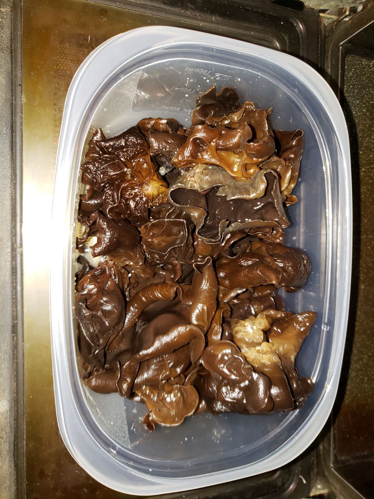 IMG-20180408-WA0013.jpg