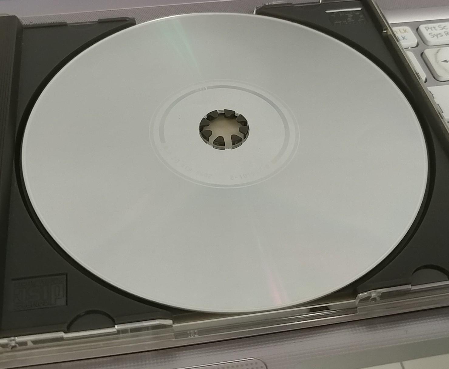 20180412_145229-1.jpg