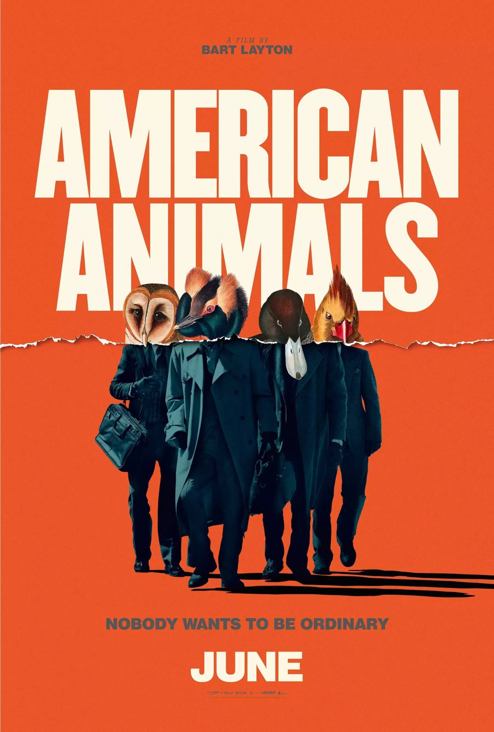 American Animals1.jpg