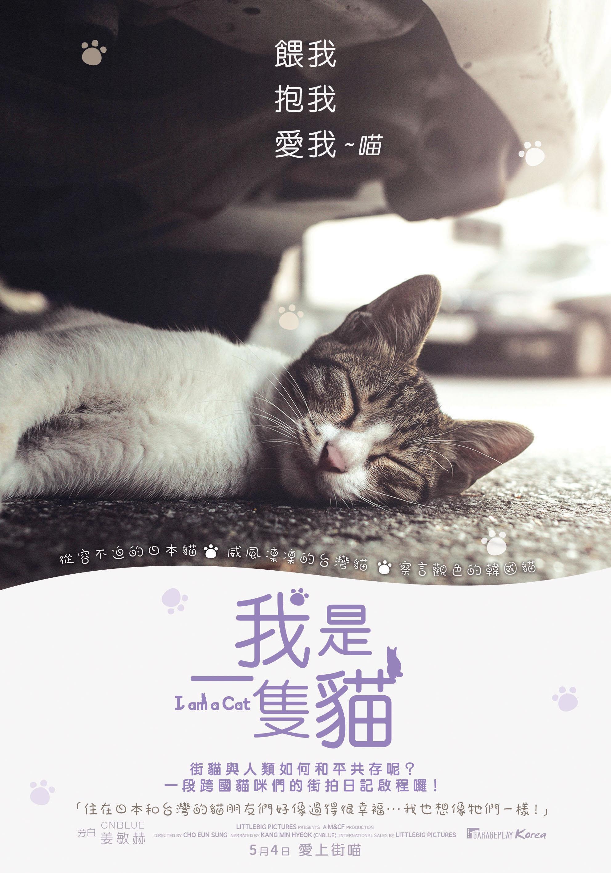 我是一隻貓.jpg