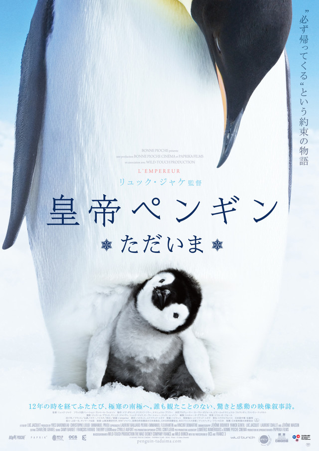 皇帝ペンギン ただいま.jpg