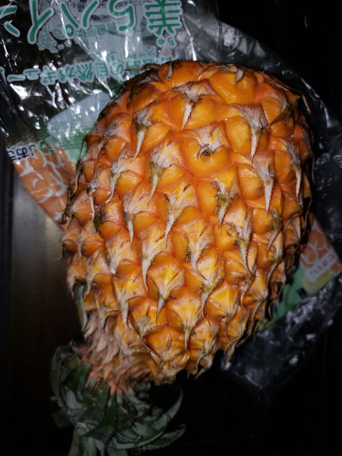 IMG-20180508-WA0004.jpg