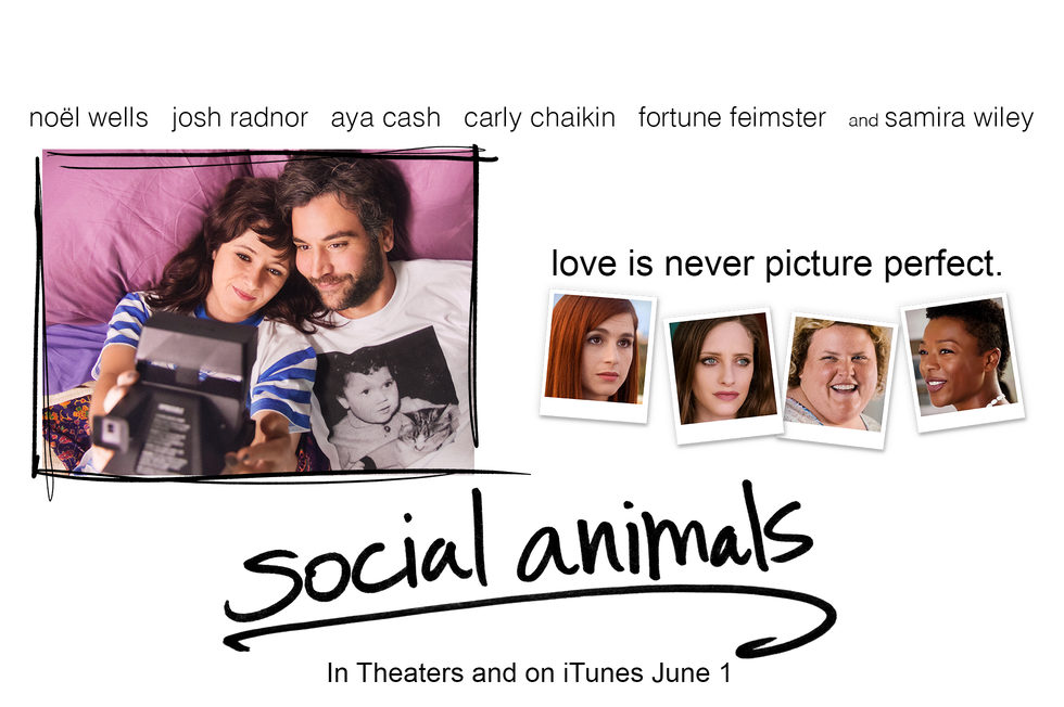 Social Animals.jpg