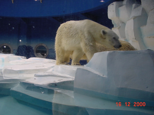 DSC02457.JPG