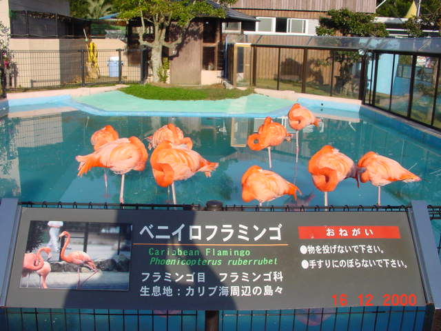 DSC02437.JPG