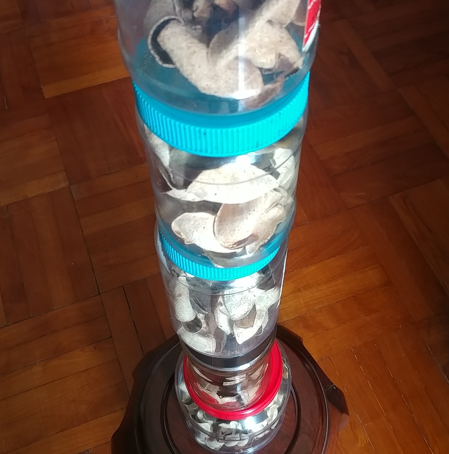 20180513_120607-1.jpg