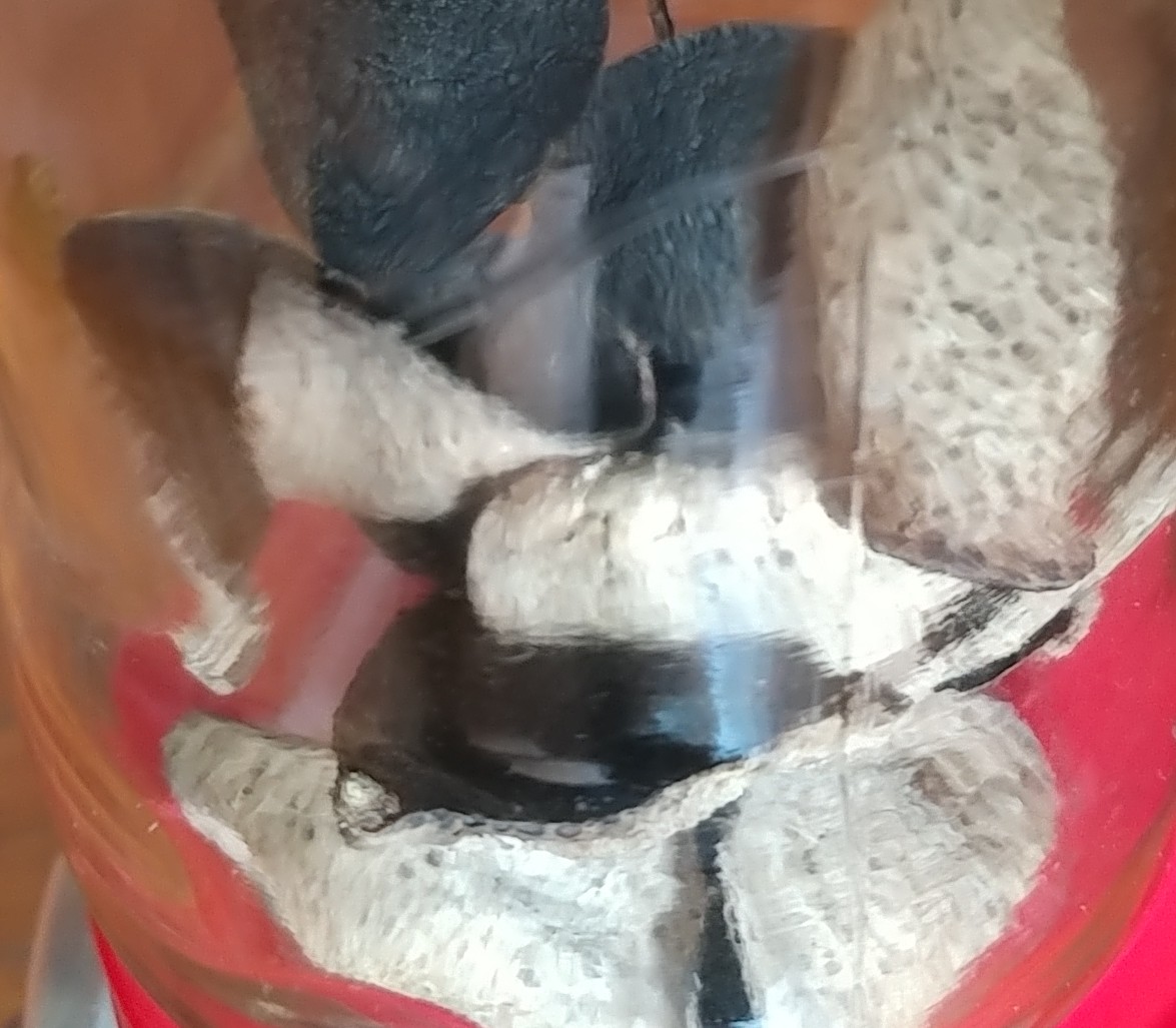 20180513_120635-1.jpg