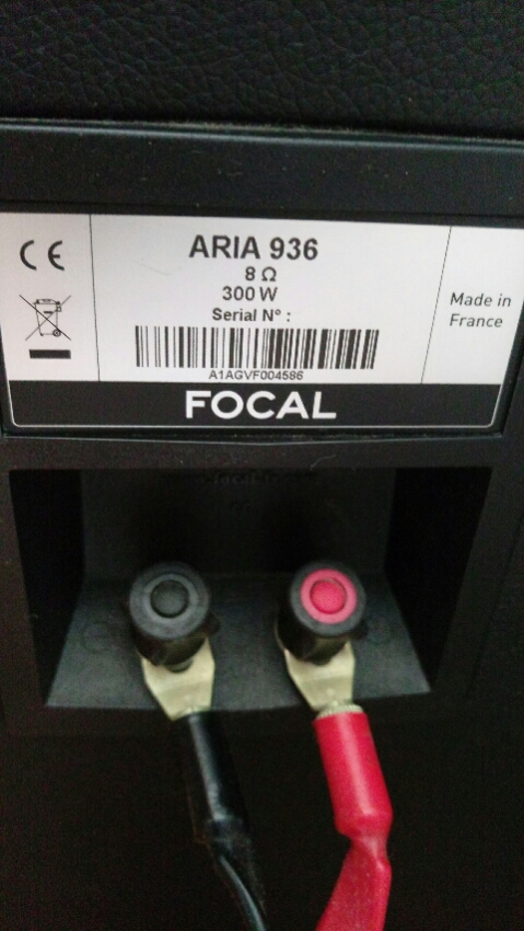 IMAG0640_480x853.jpg