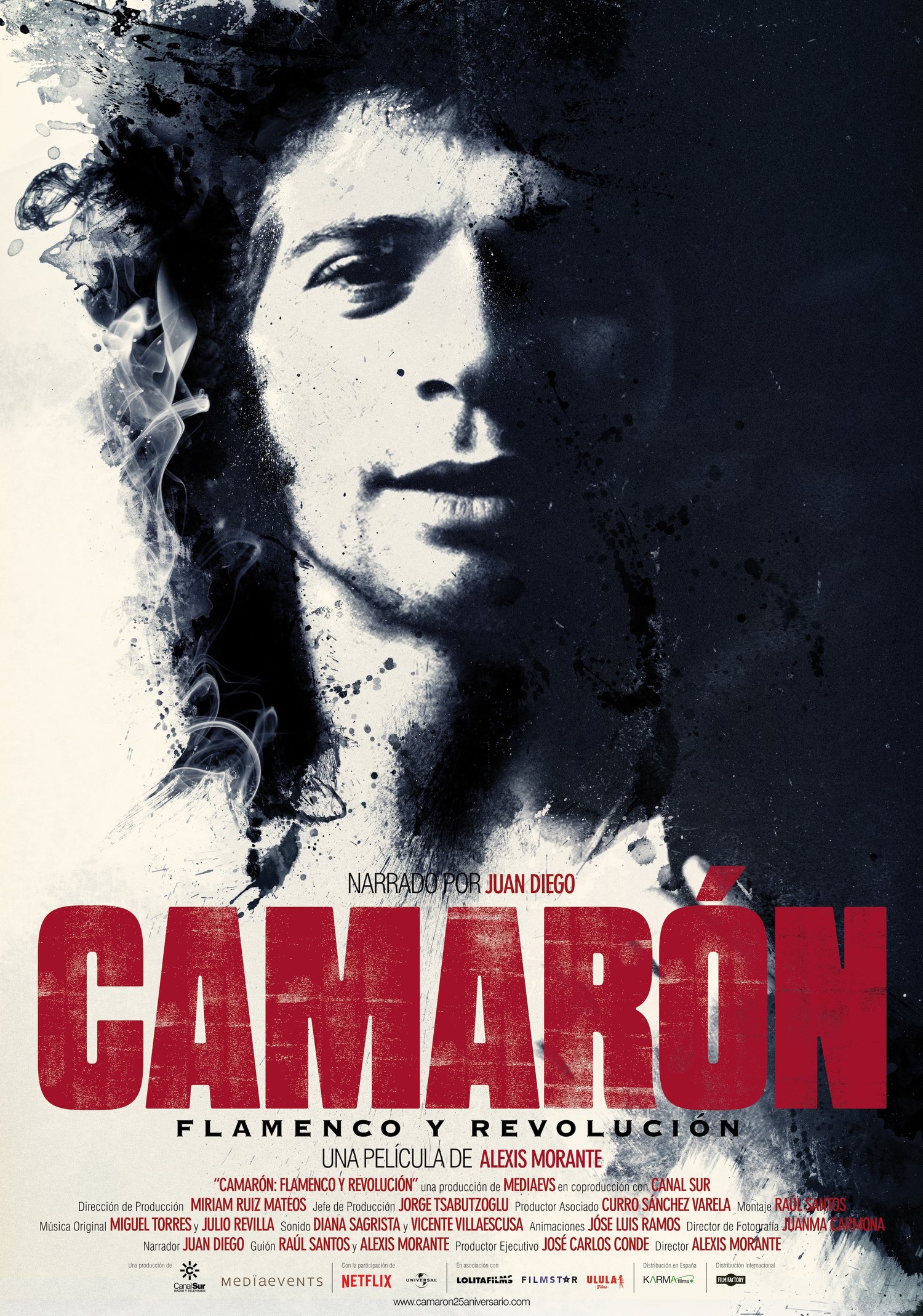 Camarón Flamenco y Revolución.jpg