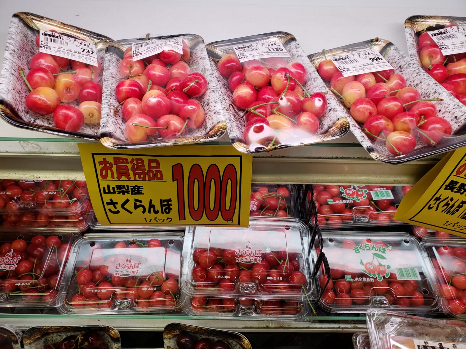 IMG-20180531-WA0012.jpg