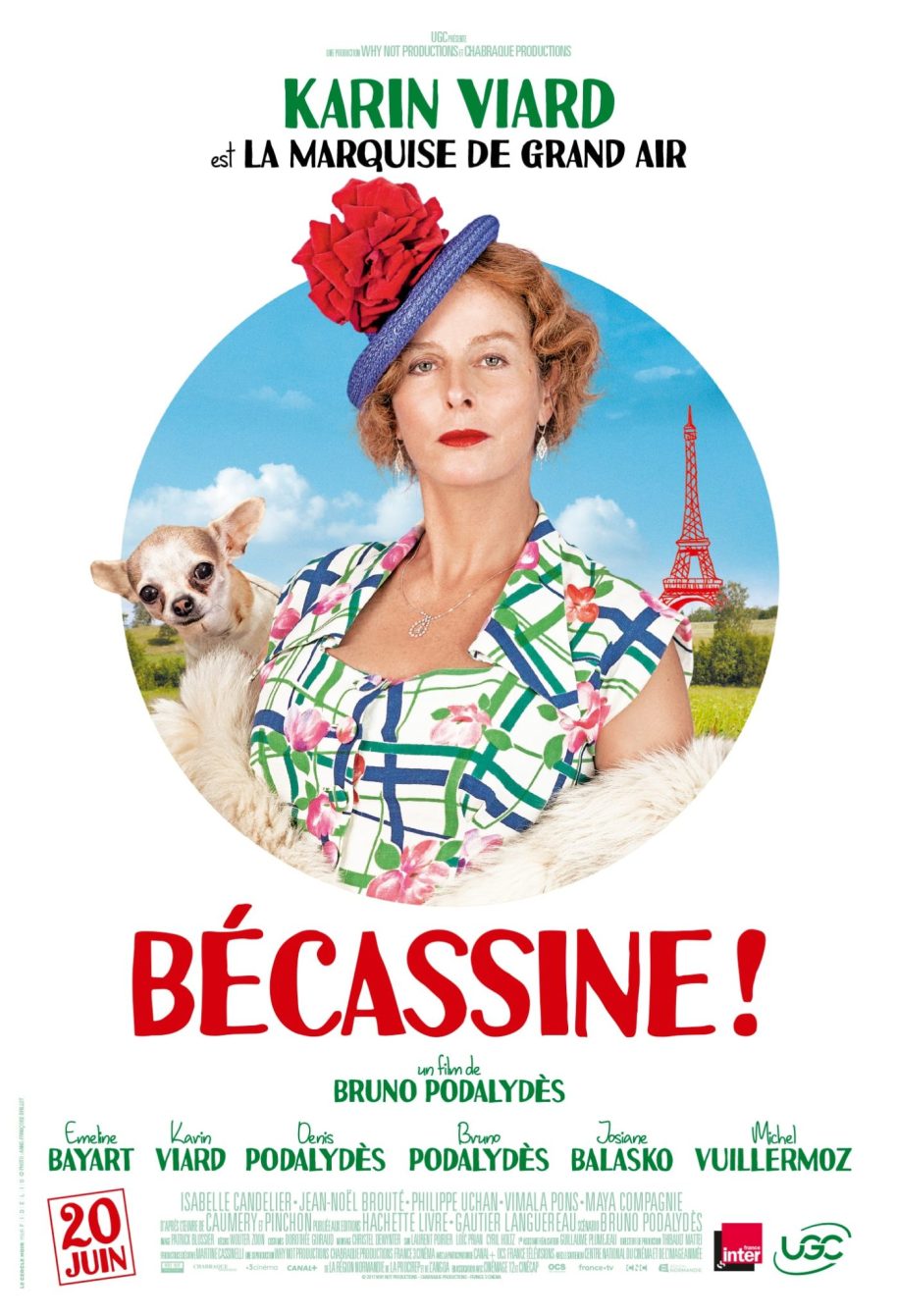 becassine-de-bruno-podalydes-affiche-personnage-de-karin-viard (1).jpg