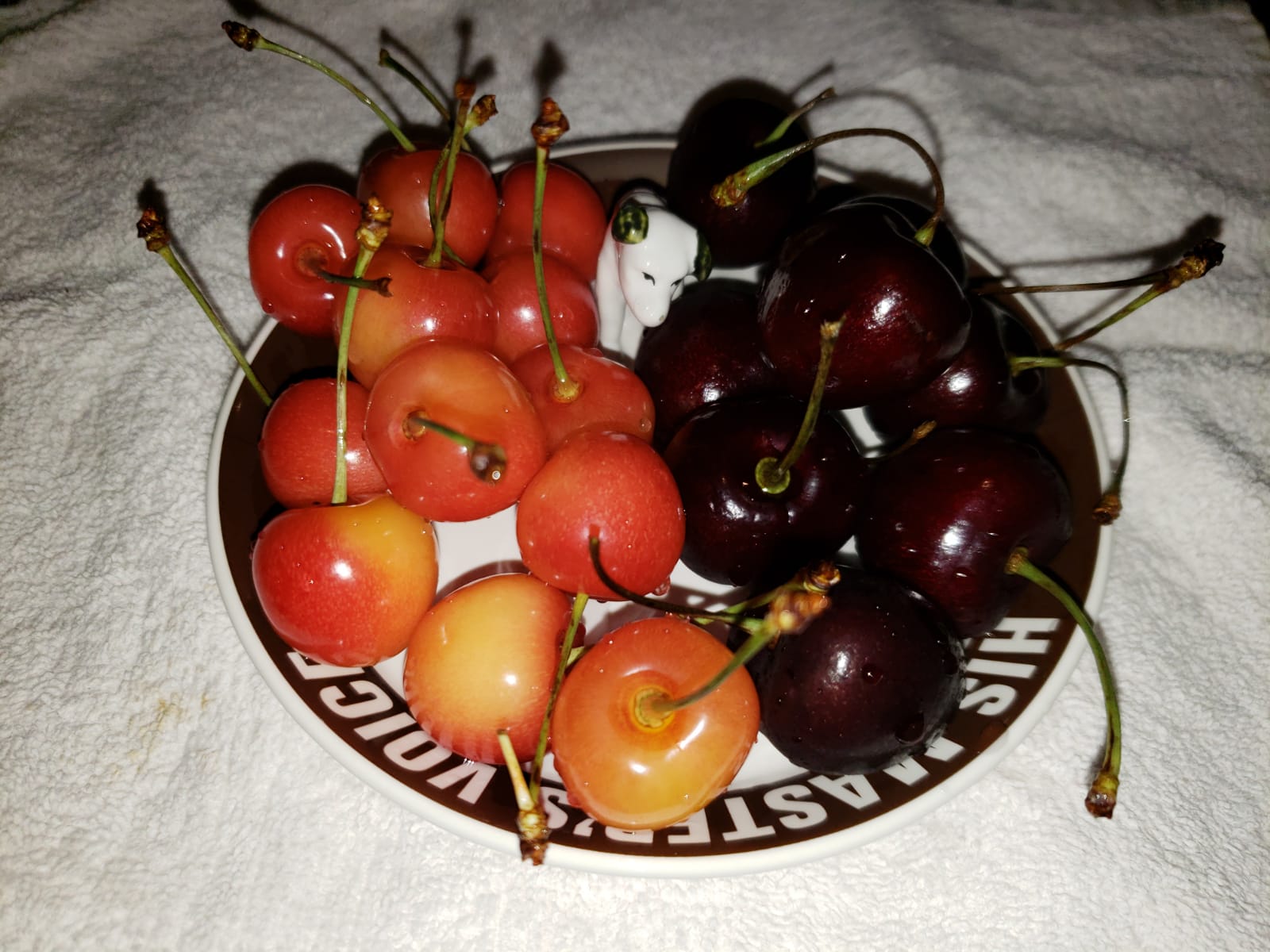 IMG-20180621-WA0022.jpg