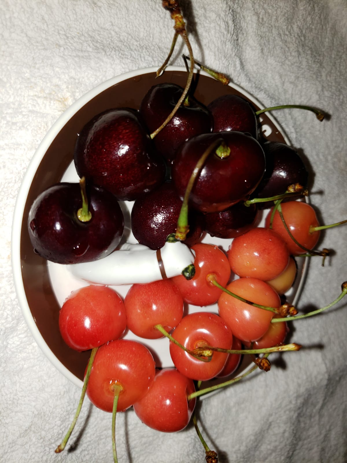 IMG-20180621-WA0019.jpg
