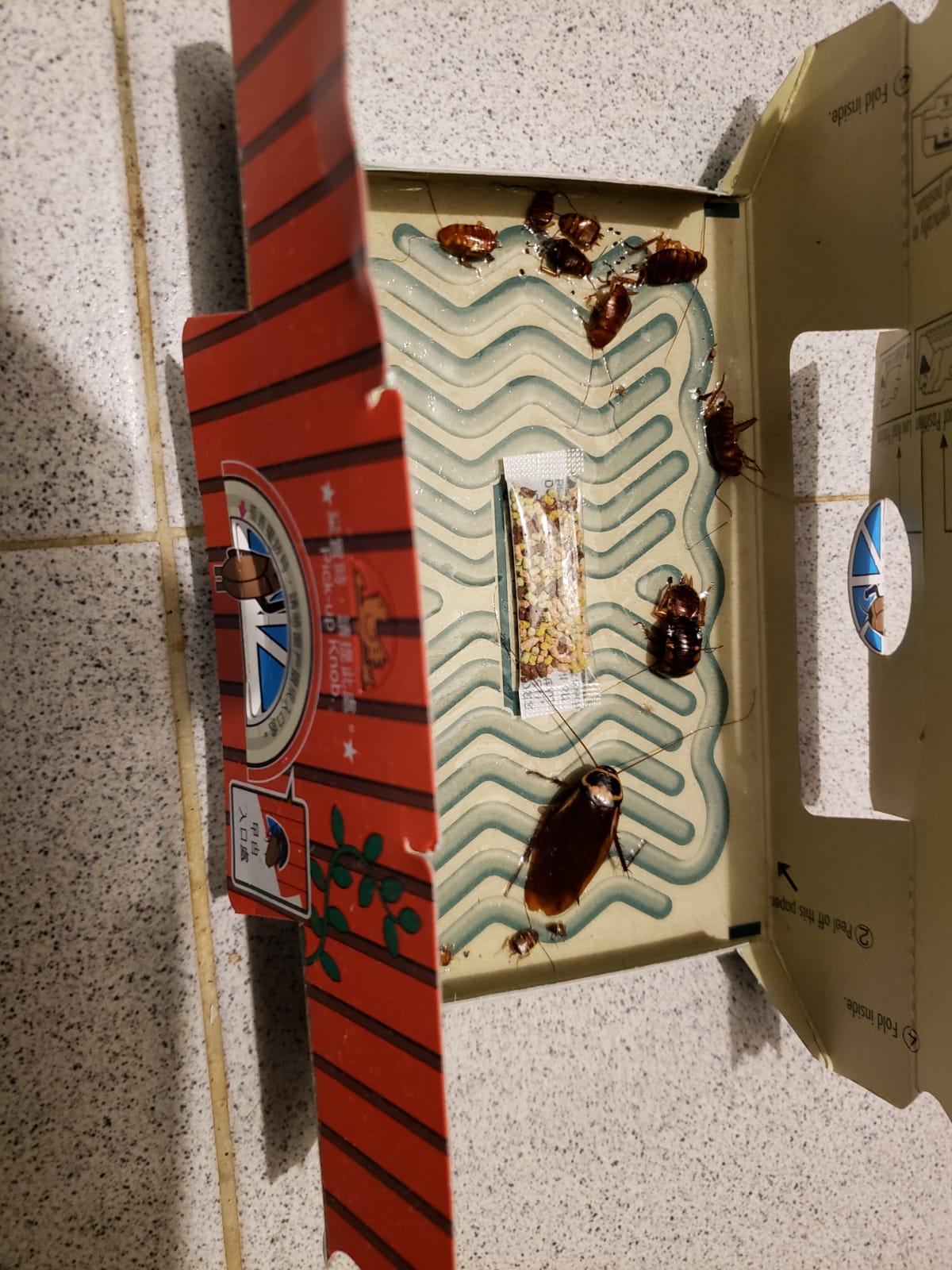 IMG-20180623-WA0007.jpg