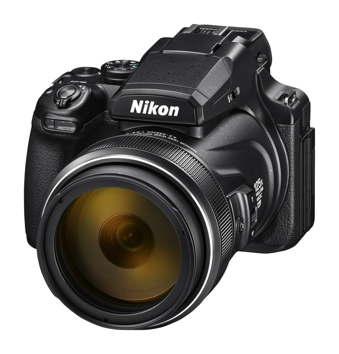 Nikon P1000 003.jpg