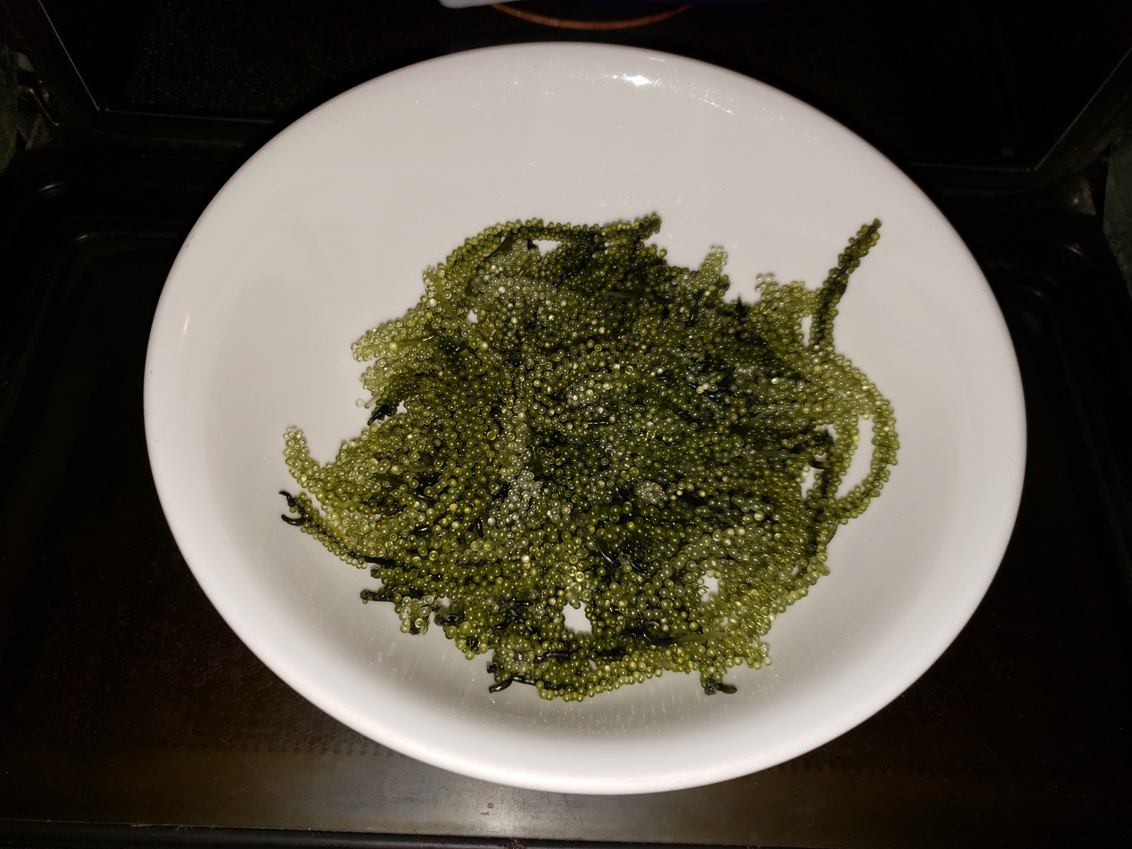20180714_212711.jpg