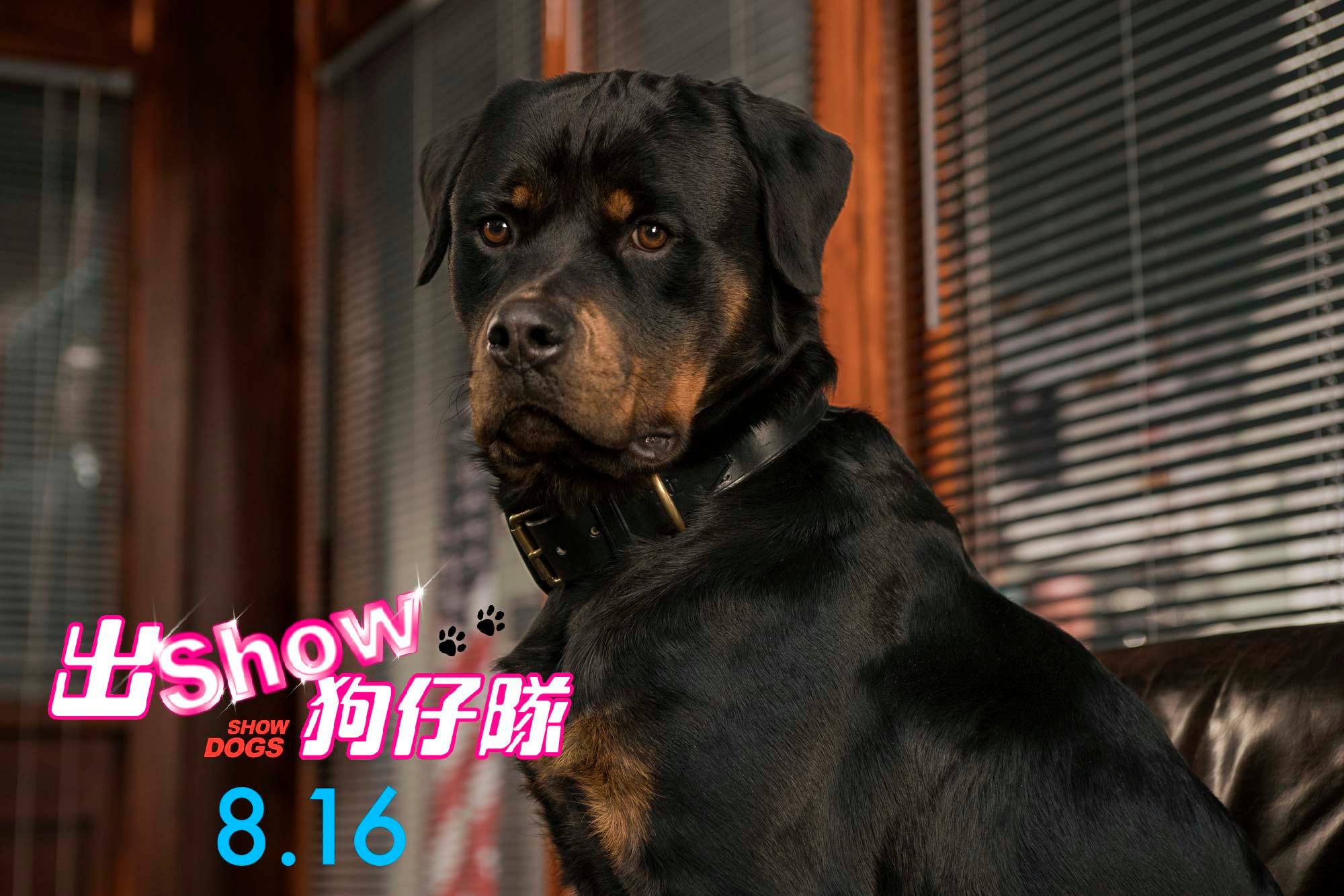 出Show狗仔隊.jpg