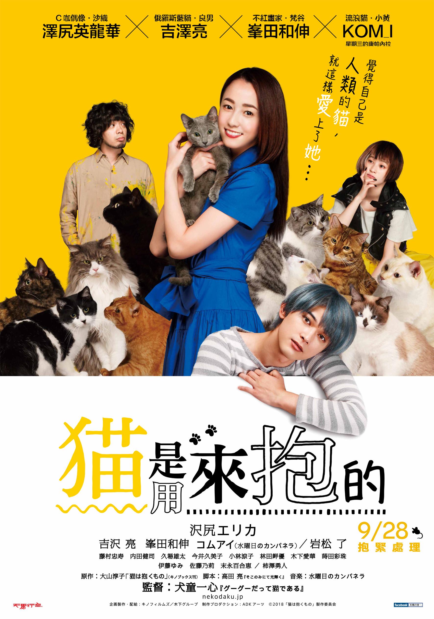 貓是用來抱的.jpg