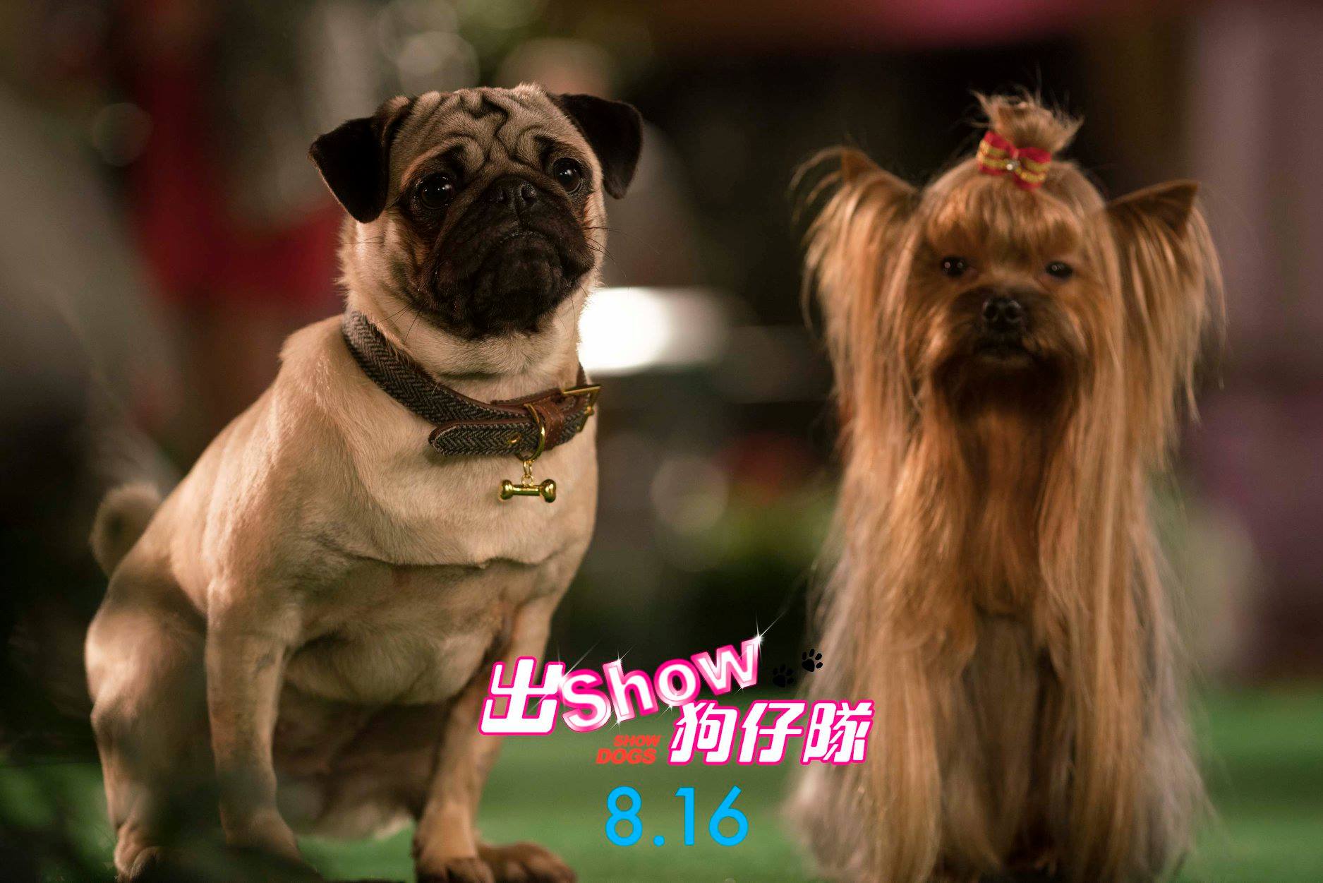 出Show狗仔隊1.jpg