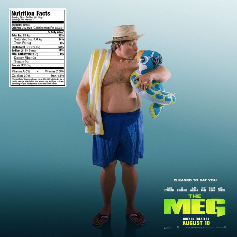 meg_ver23.jpg