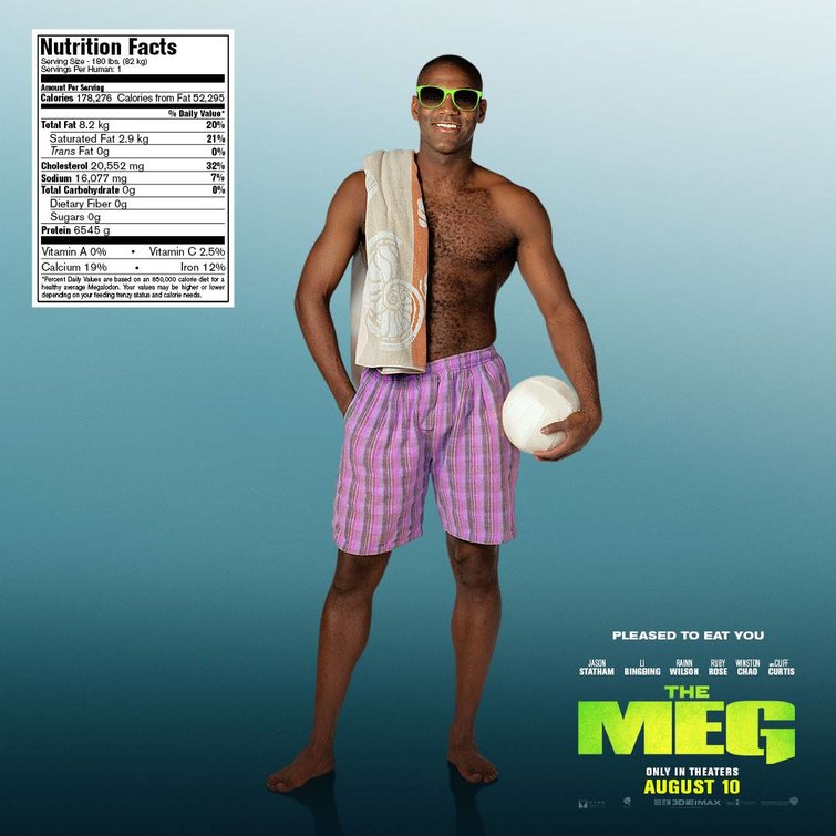 meg_ver20.jpg