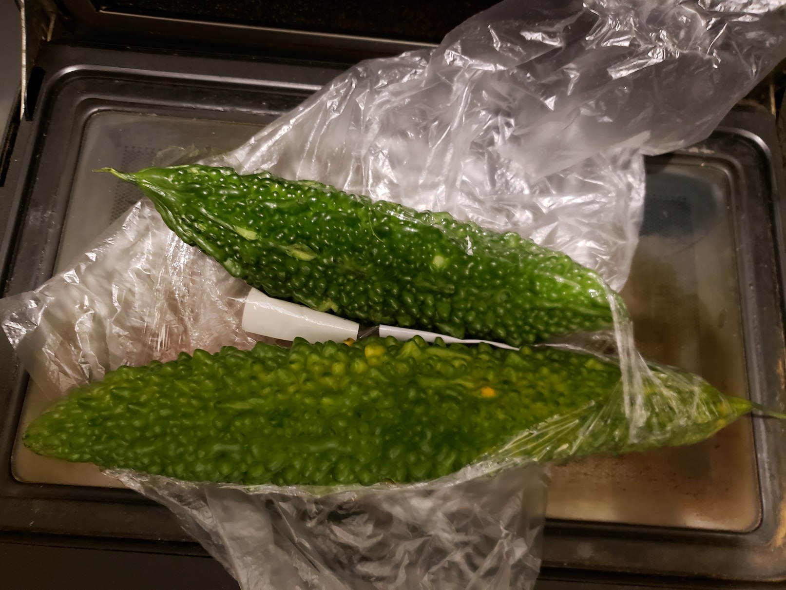20180804_203609.jpg