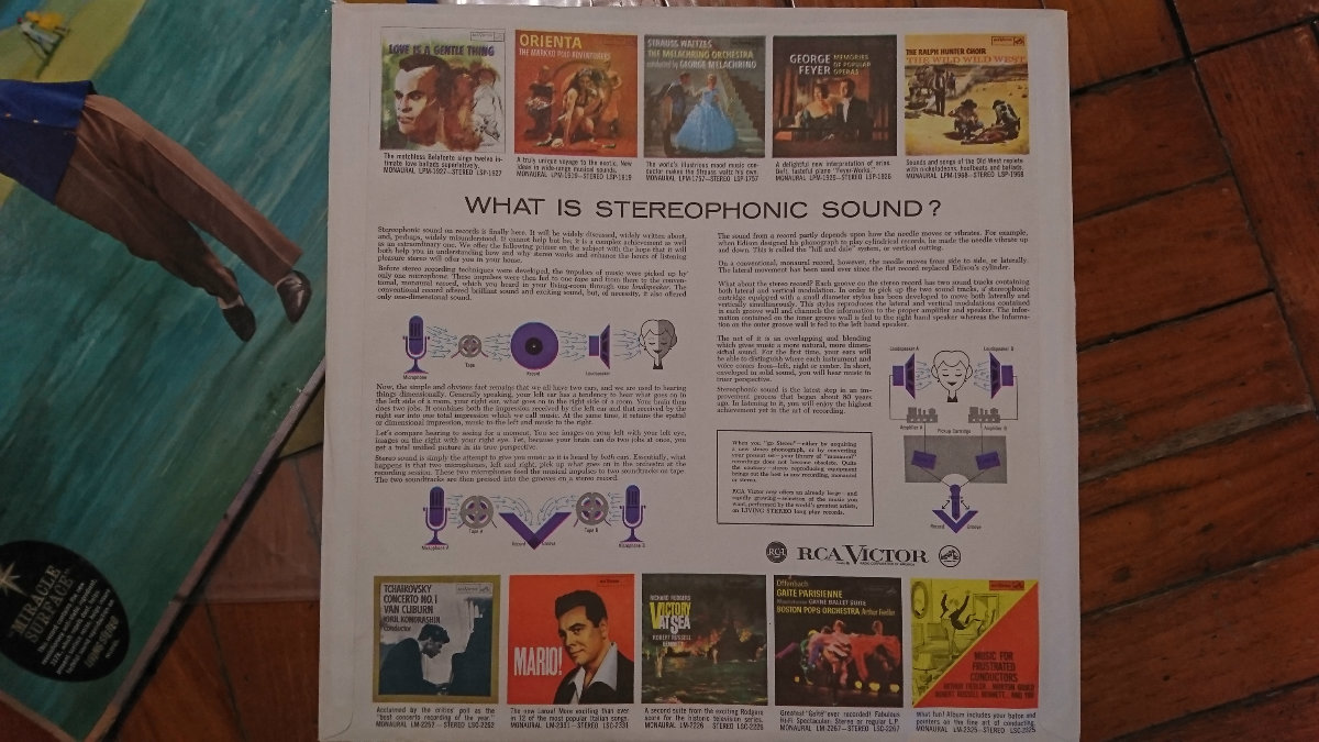 201251awk8jwjbq1zjqb8w.jpg