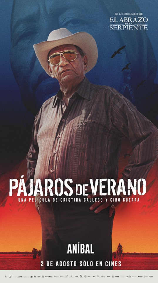 Pájaros de verano21.jpg