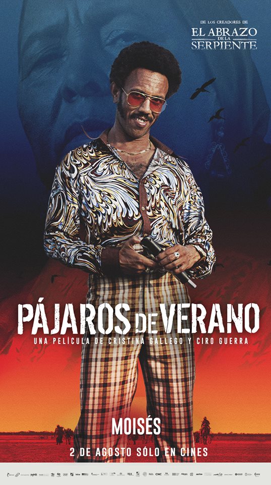 Pájaros de verano24.jpg