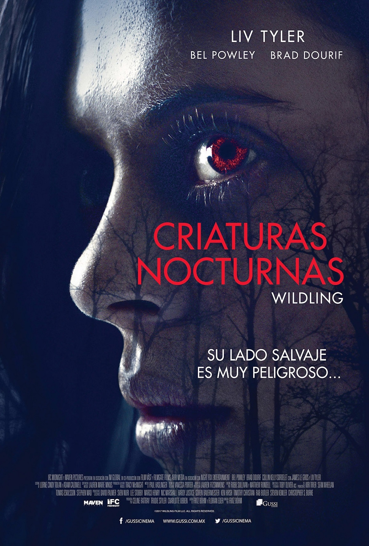 Criaturas Nocturnas.jpg