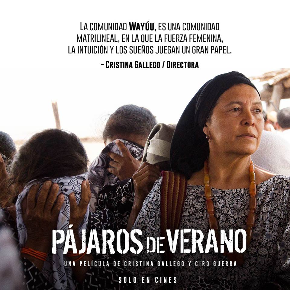 Pajaros De Verano 1.jpg