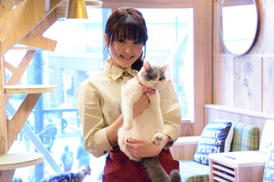 猫カフェ.jpg